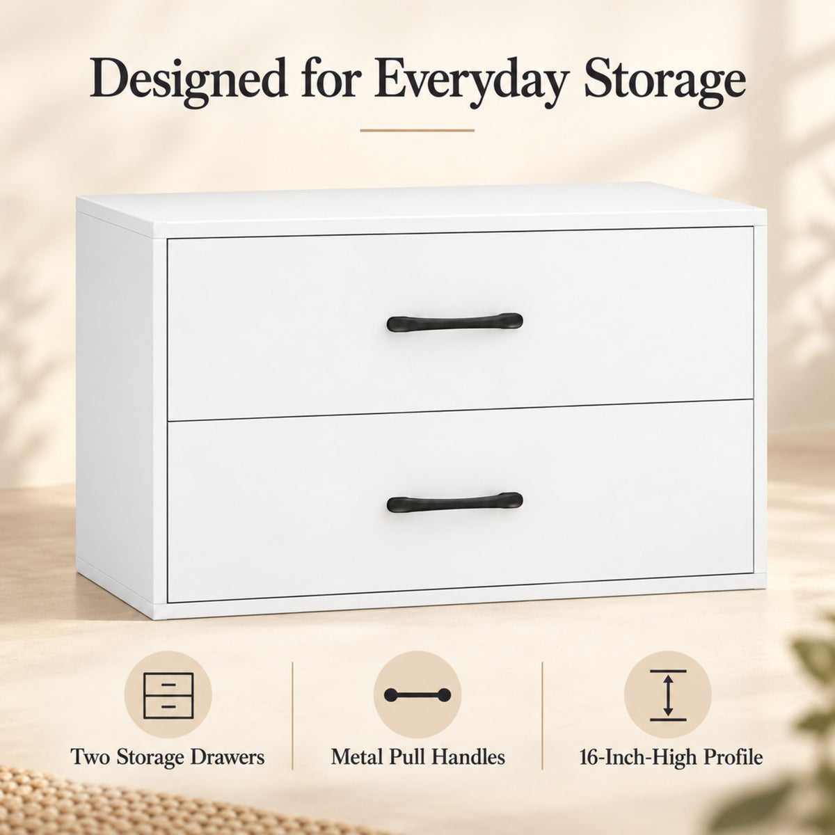 24-Inch Low Storage Cabinet with 2 Drawers, White